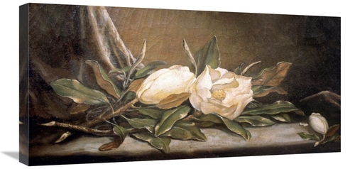 Global Gallery GCS-277941-30-142 30 in. White Magnolias on a Blue Clot