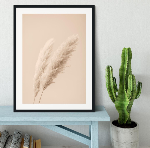Pampas Grass Begie 15 Framed Print