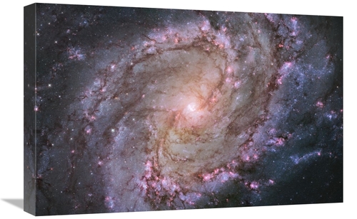 Global Gallery GCS-450037-1624-142 16 x 24 in. M83 - Spiral Galaxy Art