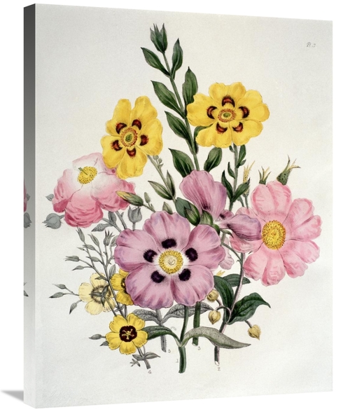 Global Gallery GCS-276943-30-142 30 in. Yellow & Pink Mixed Flowers Ci