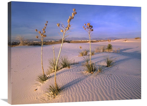 Global Gallery GCS-396142-2432-142 24 x 32 in. White Sands National Mo