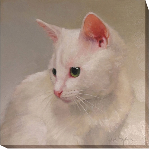 Artistic Home Gallery 1212L568IG White Kitten by Diane Hoeptner Premiu