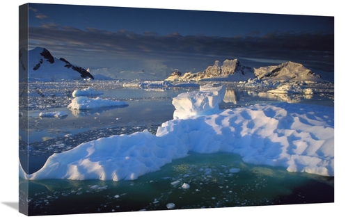 Global Gallery GCS-397799-2030-142 20 x 30 in. Evening Light on Ice Fl