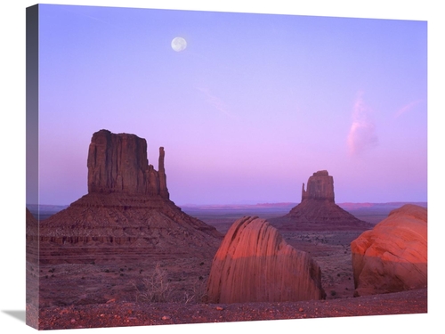 Global Gallery GCS-397001-2228-142 22 x 28 in. East & West Mittens,