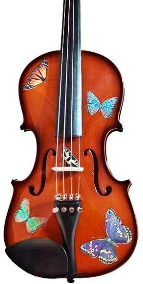 Rozanna's Violins Butterfly Dream Violin Outfit 1/2