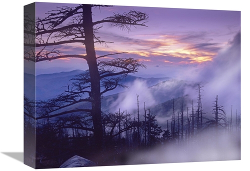 Global Gallery GCS-396954-1216-142 12 x 16 in. Rolling Fog on Clingman