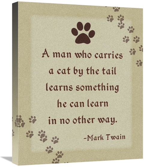 Global Gallery GCS-398809-2024-142 20 x 24 in. Mark Twain - Cat by the