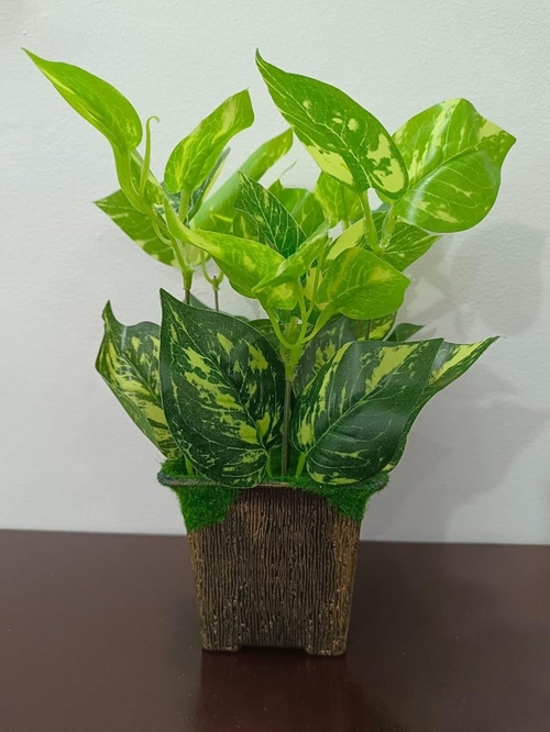 Artificial Green Money Plants Wooden Pot for Home, Garden, Living