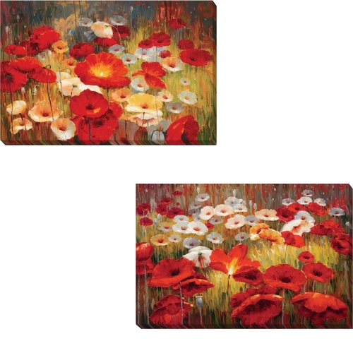 Artistic Home Gallery 1624AM125EG Meadow Poppies I & II by Lucas Santi