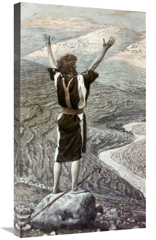 Global Gallery GCS-280552-30-142 30 in. Voice in the Desert Art Print 