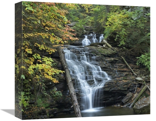 Global Gallery GCS-396427-16-142 16 in. Delaware Falls, Ricketts G