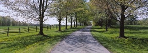 Road passing through a farm  Knox Farm State Park  East Aurora  New Yo