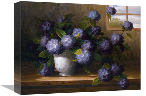 Global Gallery GCS-119544-1216-142 12 x 16 in. Hydrangea Blossoms II A