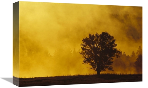 Global Gallery GCS-395784-1218-142 12 x 18 in. Sunrise Through Thermal