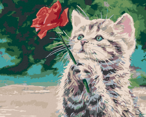 Paint by Numbers - KITTEN AND A RED ROSE