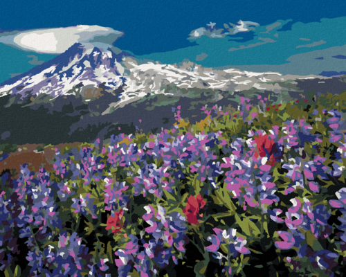 Zuty - Paint by Numbers - PURPLE FLOWERS IN THE MOUNTAINS (DENNIS