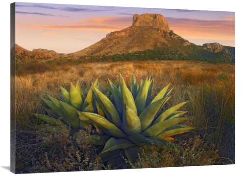 Global Gallery GCS-396858-3040-142 30 x 40 in. Casa Grande Butte with 