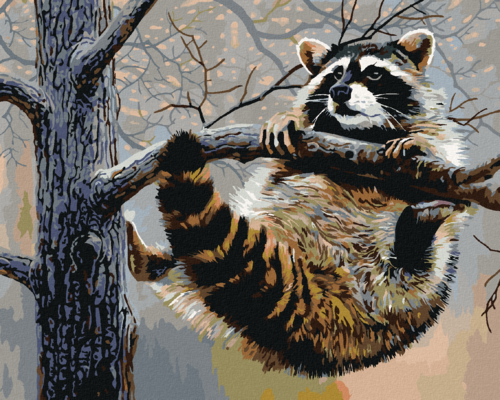 Zuty - Paint by Numbers - RACCOON HANGING ON A BRANCH (AL AGNEW),