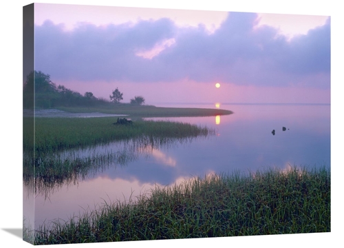 Global Gallery GCS-396575-1824-142 18 x 24 in. Marsh at Sunrise Over E