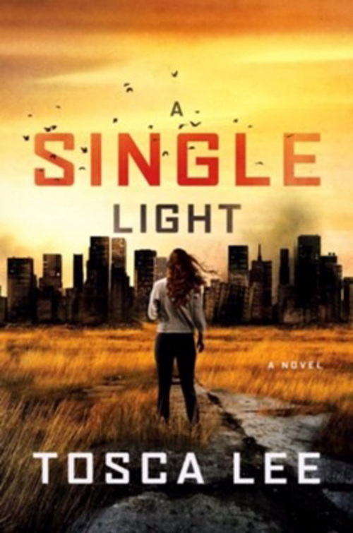 Howard Publishing 167743 A Single Light - Line Between No.2