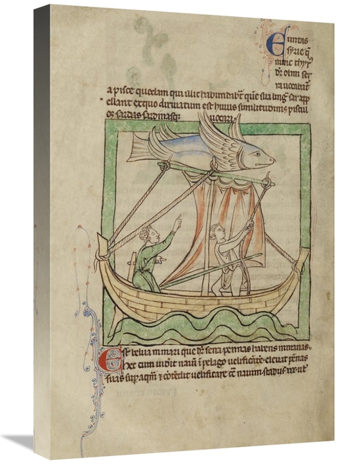 Global Gallery GCS-454770-1624-142 16 x 24 in. A Flying Fish Art Print