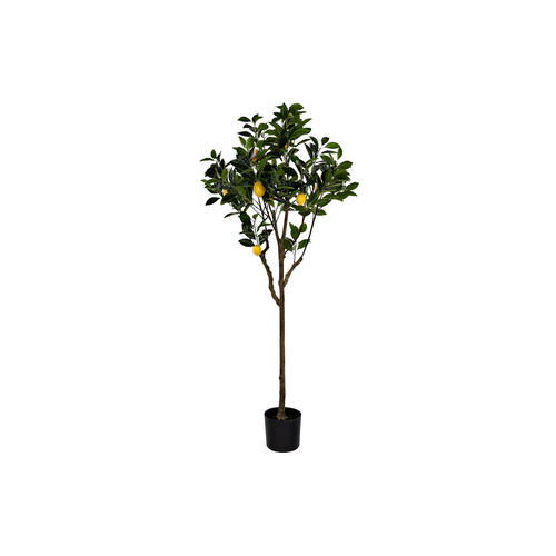 Tree DKD Home Decor Lemon tree Polyester (74 x 74 x 150 cm)