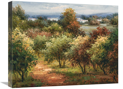 Global Gallery GCS-132573-1824-142 18 x 24 in. Sun Dappled Country Roa