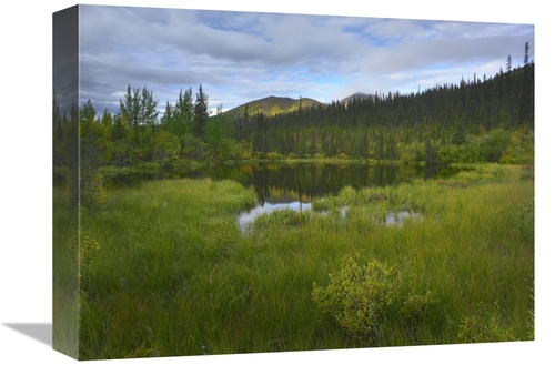 Global Gallery GCS-397181-1216-142 12 x 16 in. Boreal Forest with Pond