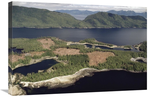 Global Gallery GCS-395785-2030-142 20 x 30 in. Aerial View of Clearcut