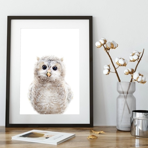 Nursery Animal Decor Baby Owl Canvas Art Print and