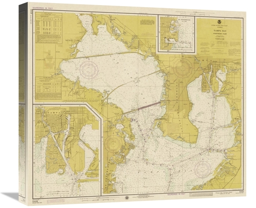 Global Gallery GCS-450534-22-142 22 in. Nautical Chart - Tampa Bay - N