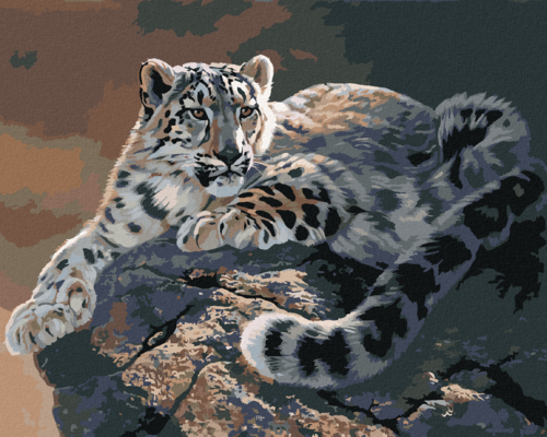 Zuty - Paint by Numbers - SNOW LEOPARD LOOKING OUT FROM A ROCK (AL