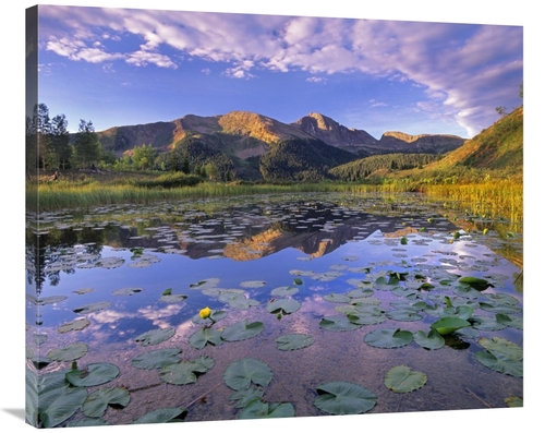 Global Gallery GCS-397000-36-142 36 in. Lily Pads & Reflection of Snow