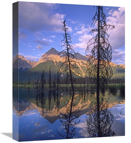 Global Gallery GCS-452152-1620-142 16 x 20 in. Chancellor Peak Reflect