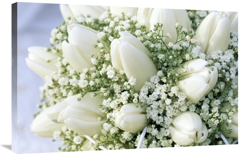 Global Gallery GCS-398274-2436-142 24 x 36 in. Bouquet of White Tulips