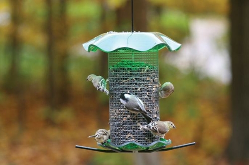 Birds Choice FF212A Yellow Nyjer Forever Feeder