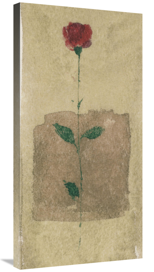 Global Gallery GCS-116767-1836-142 18 x 36 in. American Beauty Art Pri