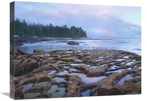 Global Gallery  18 x 24 in. Tide Pools Exposed at Low Tide, Botani