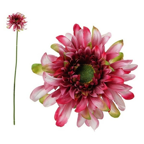 Decorative Flower Chrysanthemum 114530