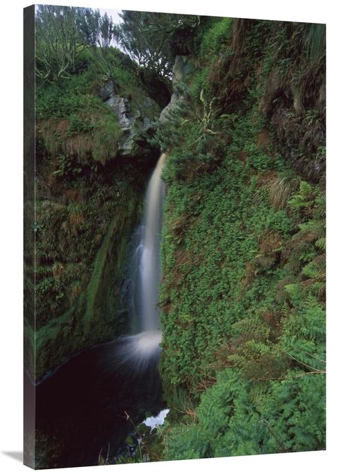 Global Gallery GCS-451818-2436-142 24 x 36 in. Waterfall Draining Rain