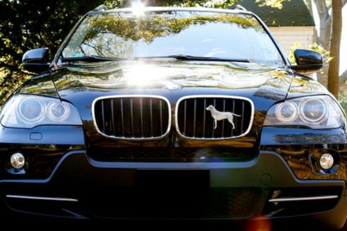 Grillie Labrador-P Labrador Antique Pewter Ornament, 4.25 x 6.5 in