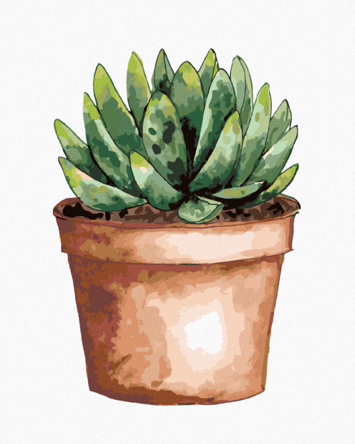 Paint by Numbers - SUCCULENT IN A BROWN POT (ALEXANDRIA GILBERT)