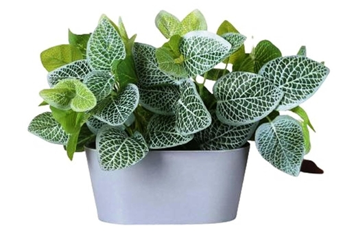 Artificial Fitunia Plant in Tray for Home Decor (SIZE-20x20cm)