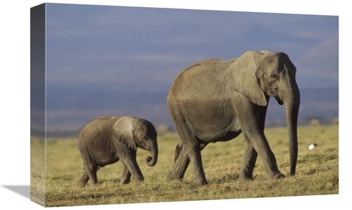 Global Gallery GCS-396185-1218-142 12 x 18 in. African Elephant Mother