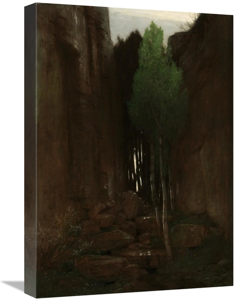 Global Gallery GCS-460062-22-142 22 in. Quell in Einer Felsschlucht - 