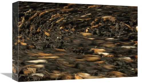 Global Gallery GCS-397886-1218-142 12 x 18 in. Chagra Cowboys During t