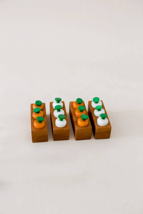 QToys Australia (USA) wooden vegetable patch