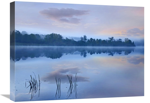 Global Gallery GCS-452247-1824-142 18 x 24 in. Mist Over Lackawanna La