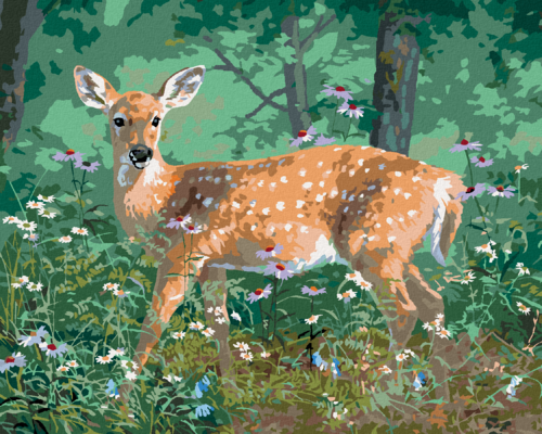 Paint by Numbers - DEER AND FLOWERS (ABRAHAM HUNTER)