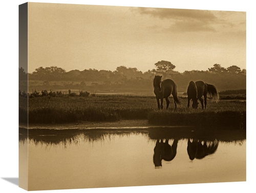 Global Gallery GCS-395923-22-142 22 in. Wild Horse Pair Grazing at Ass